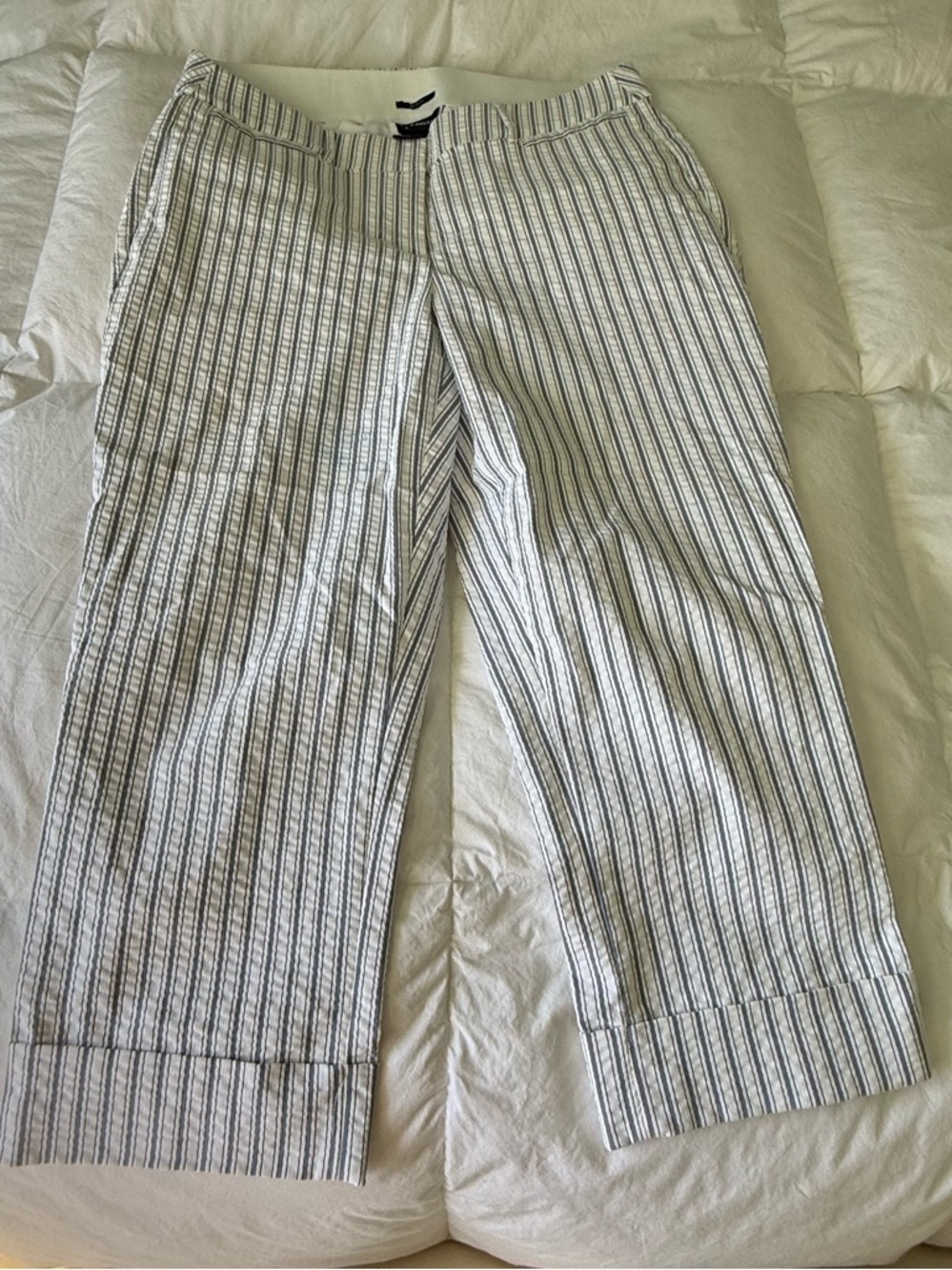 Lane Bryant The Lena White Cropped Pants with Blue Pinstripes size 16 GUC